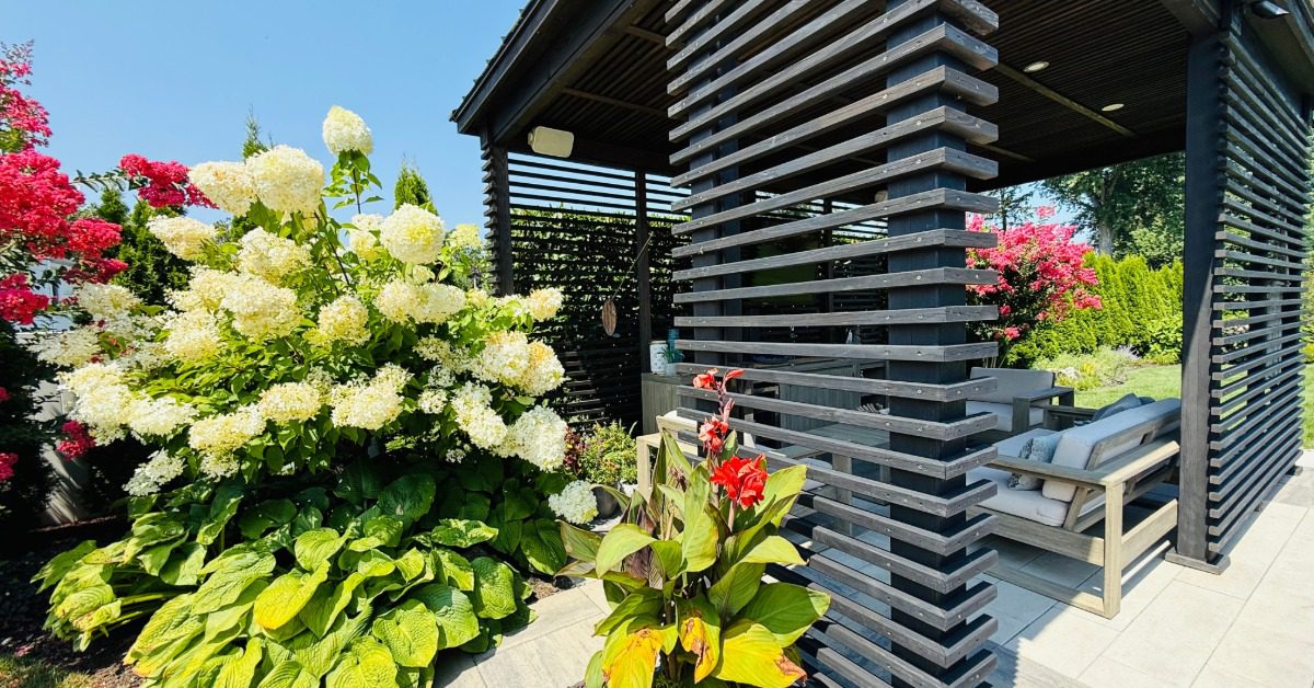 A pergola with thin panel detailing, covering sofas and an outdoor kitchen surrounded by multiple plants.